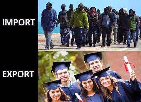 11220833_748271458617272_8591293106757542419_n