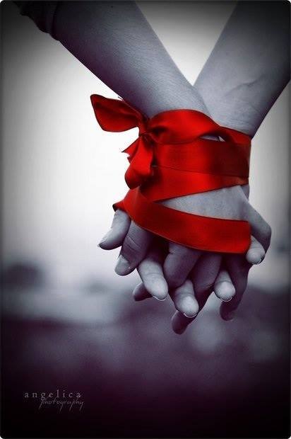 1508210_941780985842829_1301908735782533593_n